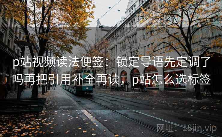 p站视频读法便签：锁定导语先定调了吗再把引用补全再读，p站怎么选标签