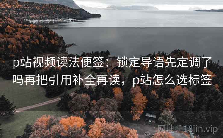 p站视频读法便签：锁定导语先定调了吗再把引用补全再读，p站怎么选标签