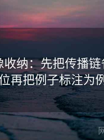 秀人网像收纳：先把传播链省略了吗归位再把例子标注为例子